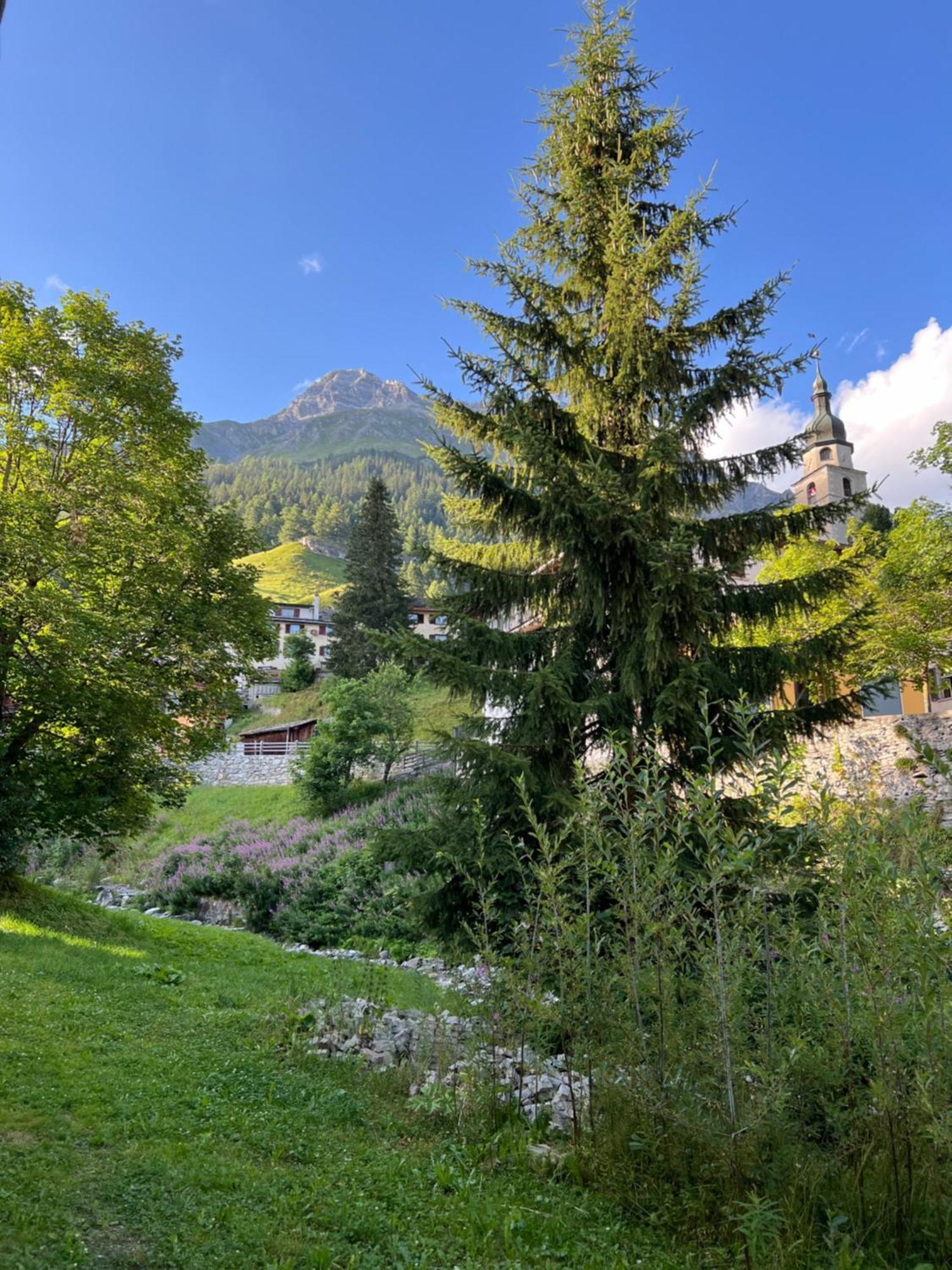 Splügen Hotel Piz Tambo מראה חיצוני תמונה